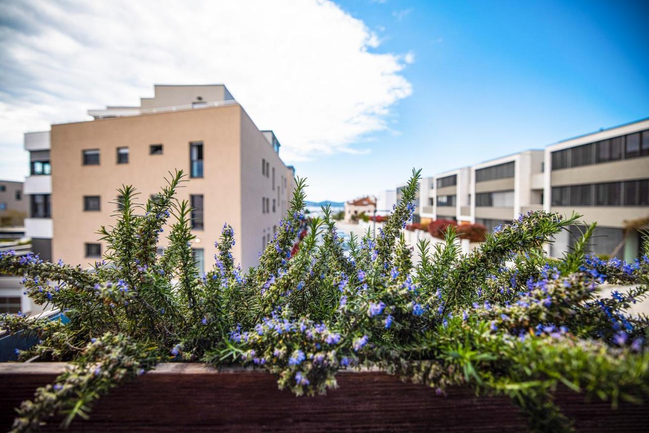 זאדאר Ika Boutique Luxury Apartments מראה חיצוני תמונה